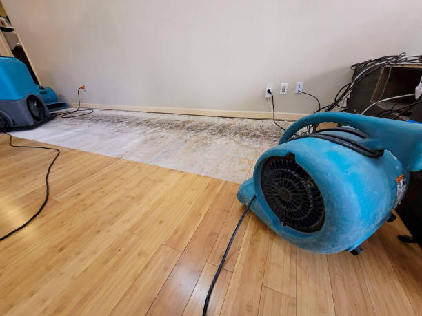 Professional Water Damage Repair technician working in Selkirk, NY